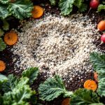 Mes meilleures récoltes d’hiver viennent d’un paillage… fabriqué dans ma cuisine !