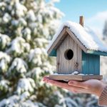 Un geste facile, 2 minutes… et vous offrez un refuge vital aux mésanges cet hiver