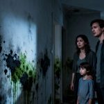 Son logement est rempli de moisissures, le locataire refuse de payer son loyer : sa famille est menacée d’expulsion